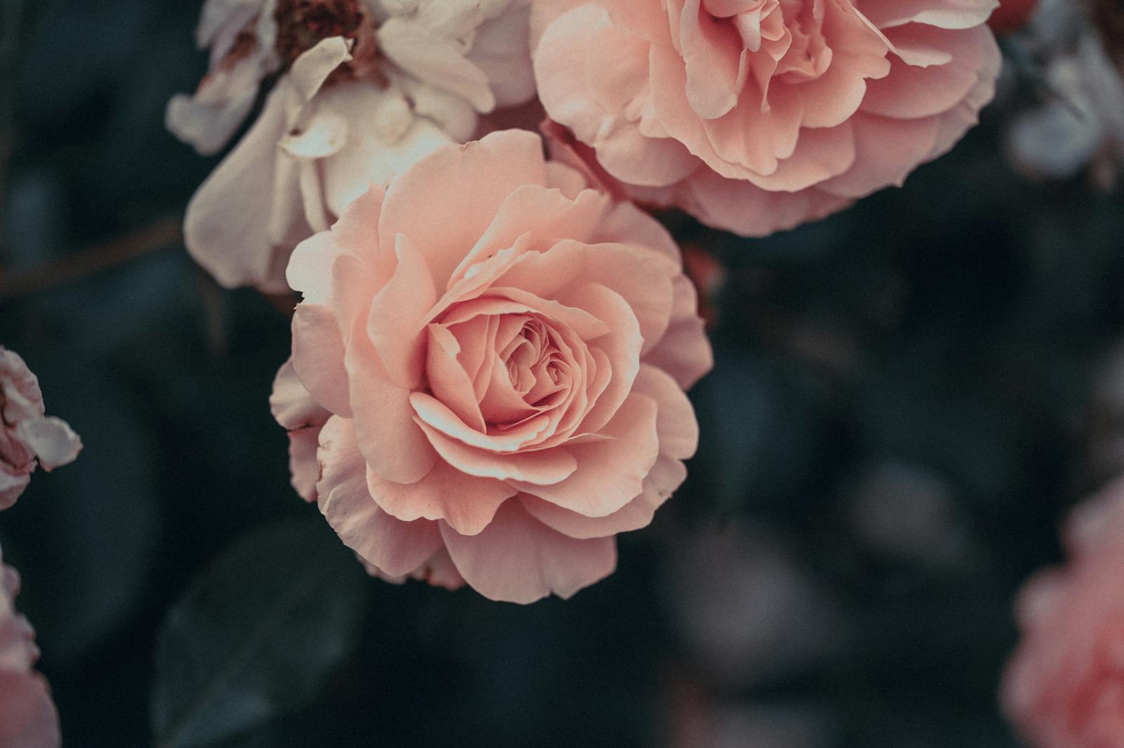 Isolatieproject referentie